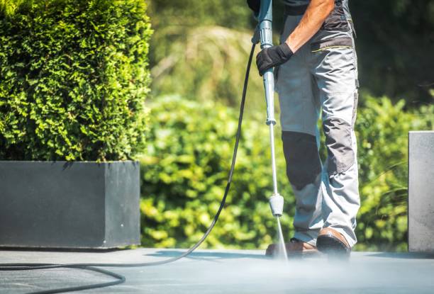 Solar Panel Cleaning in University, FL